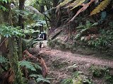 IMG_0816 Специально проложенная трасса для МТБ. Супер дорожка в дождевом лесу с хорошим рельефом